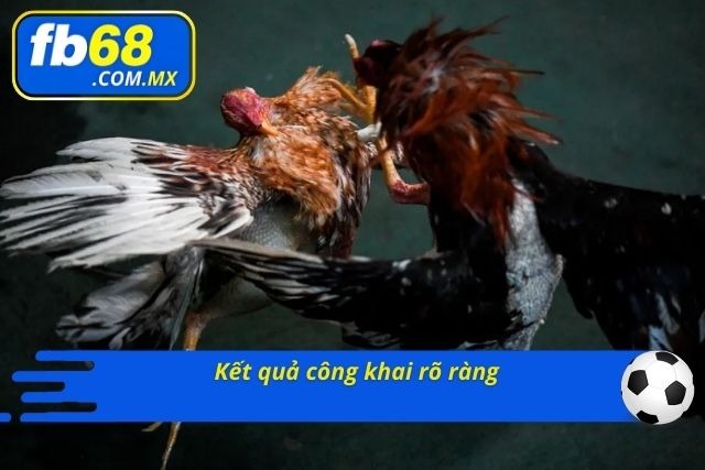 Ưu điểm to lớn nhận được khi cược ở nền tảng